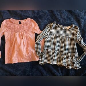 Pink Embroidered Top and Black Gingham Blouse